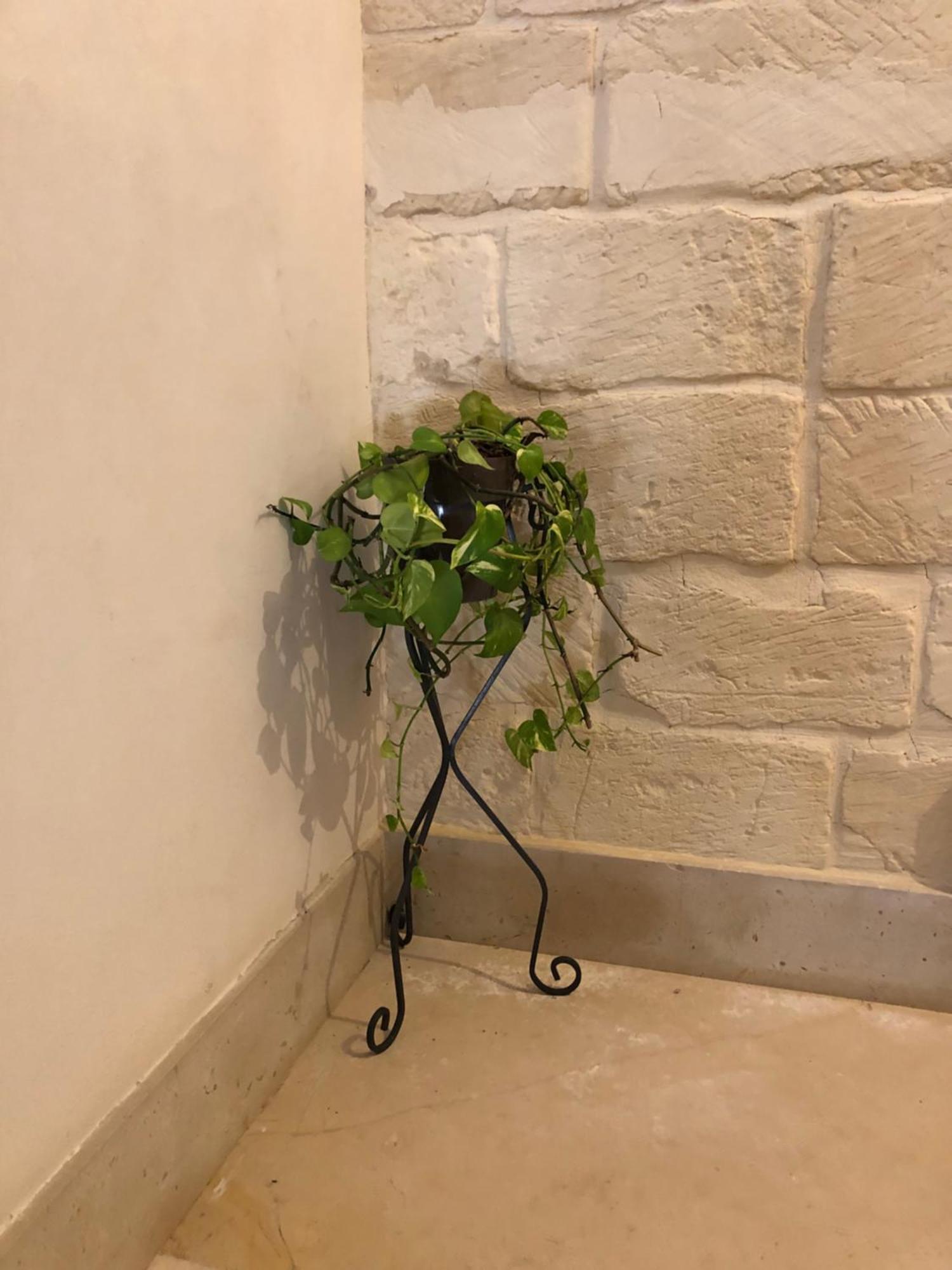Mayu'S House , Dimora Nel Centro Storico Di Lecce Luaran gambar